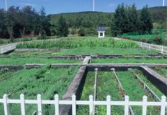 中国智慧体育科技领导者